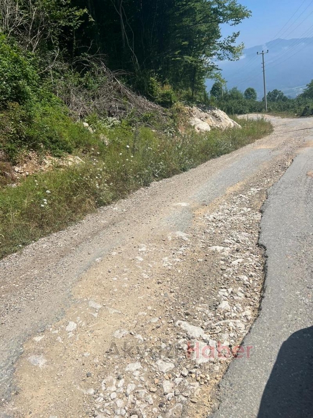 Acelle Yaylası Yol Sorunu