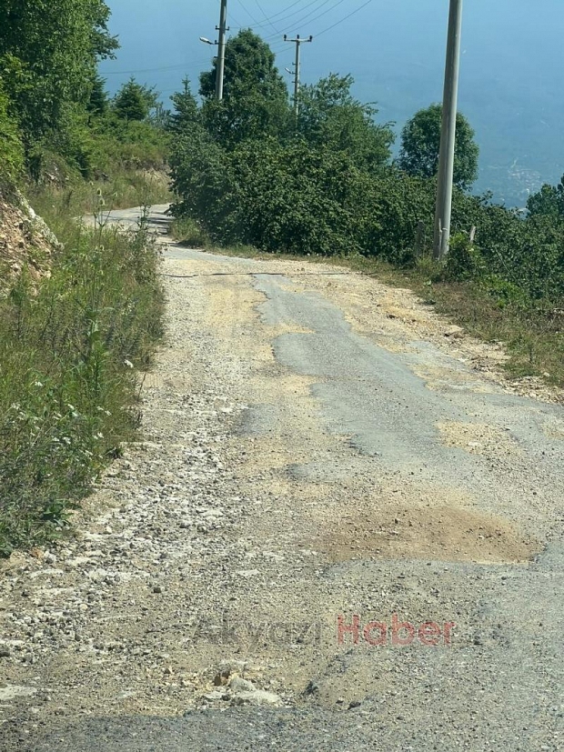 Acelle Yaylası Yol Sorunu