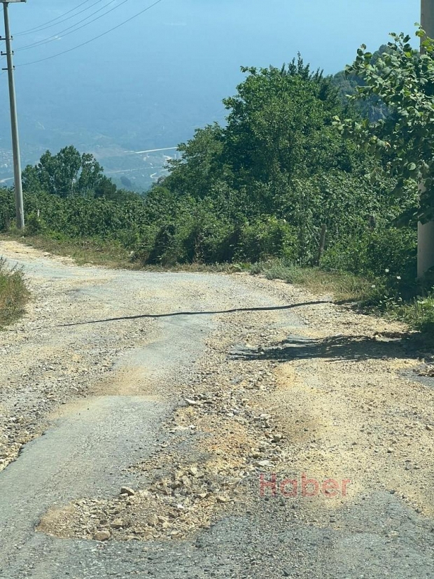 Acelle Yaylası Yol Sorunu