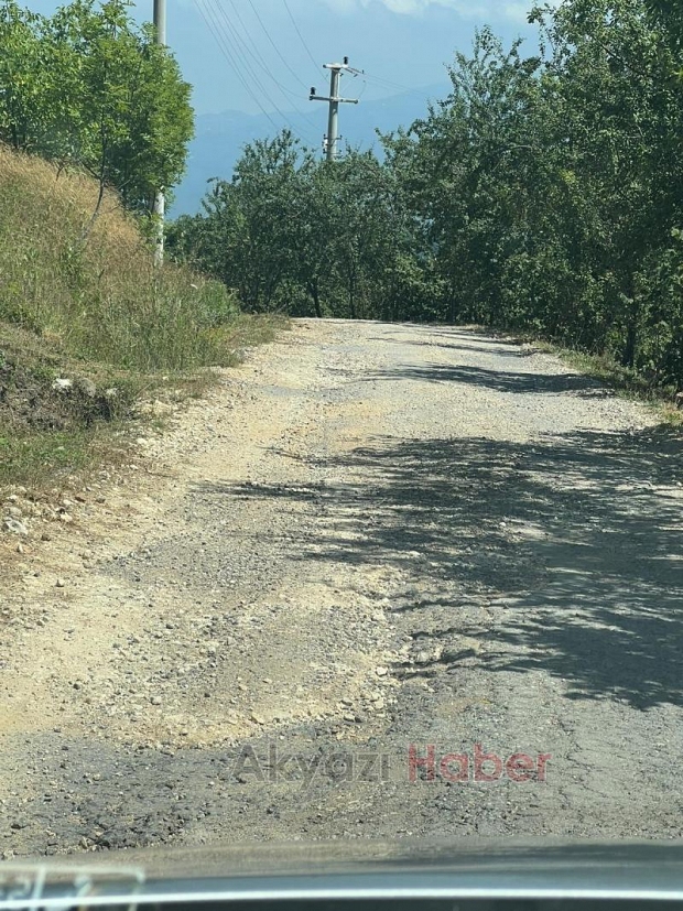 Acelle Yaylası Yol Sorunu