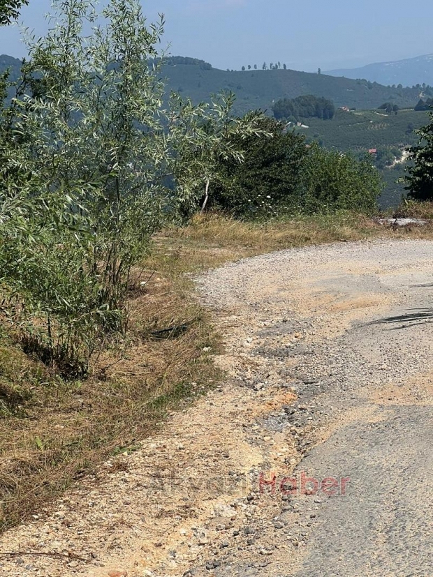 Acelle Yaylası Yol Sorunu