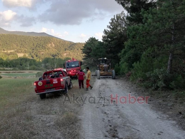 Orman Yangını