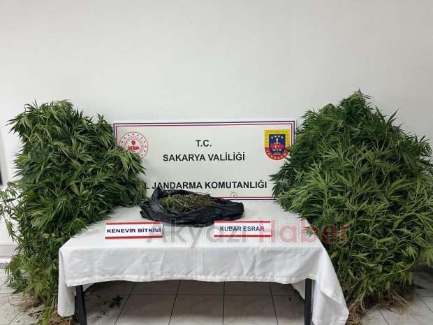 4 ilçede uyuşturucu operasyonu