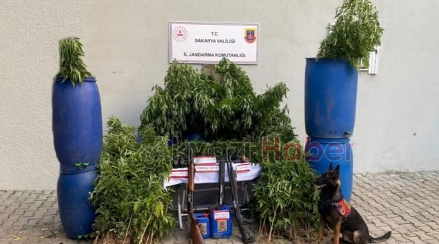 Üç ilçede uyuşturucu operasyonları