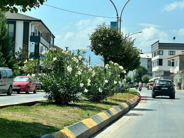 İsteyince oluyormuş: Refüj sulama sistemi 1 saatte onarıldı