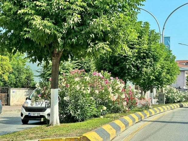 İsteyince oluyormuş: Refüj sulama sistemi 1 saatte onarıldı