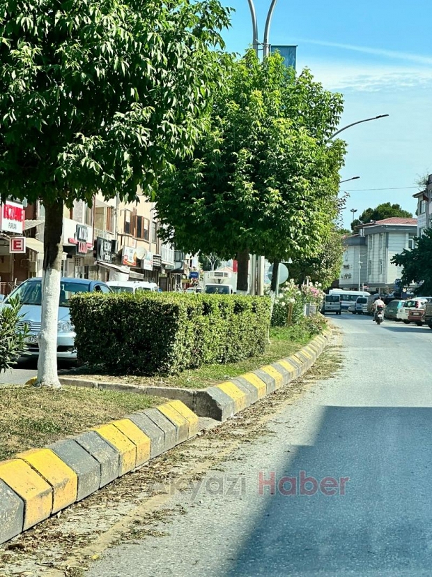 İsteyince oluyormuş: Refüj sulama sistemi 1 saatte onarıldı
