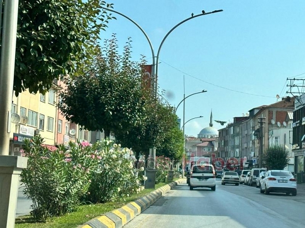 İsteyince oluyormuş: Refüj sulama sistemi 1 saatte onarıldı