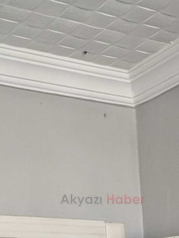Maganda kurşunu eve isabet etti
