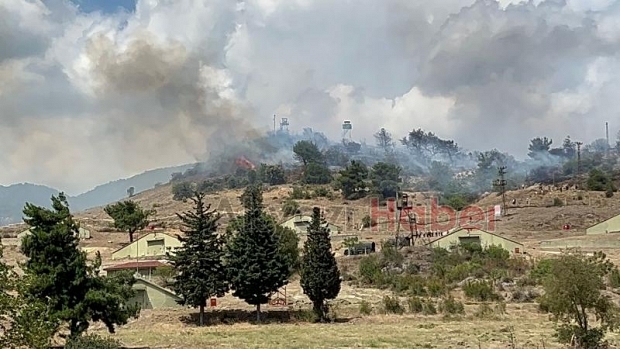 Cephanelik yakınında orman yangını çıktı