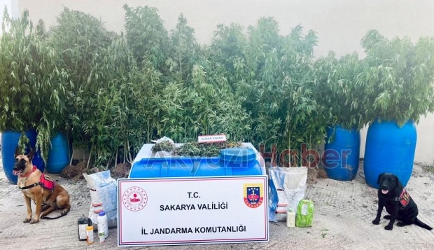 Jandarmadan zehir tacirlerine darbe
