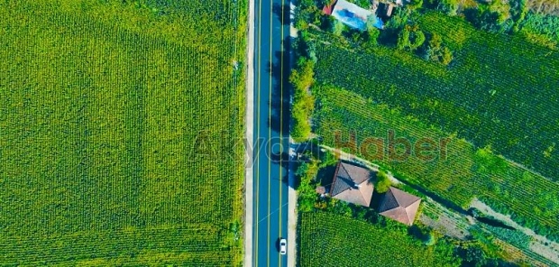 Ormanköy yolu Büyükşehirle muhteşem oldu