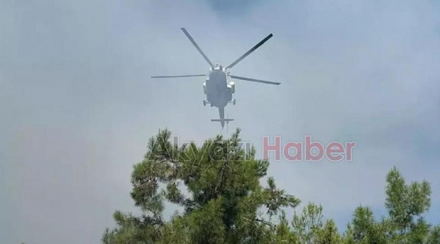Sakarya'da orman yangını 3 saatte kontrol altına alındı