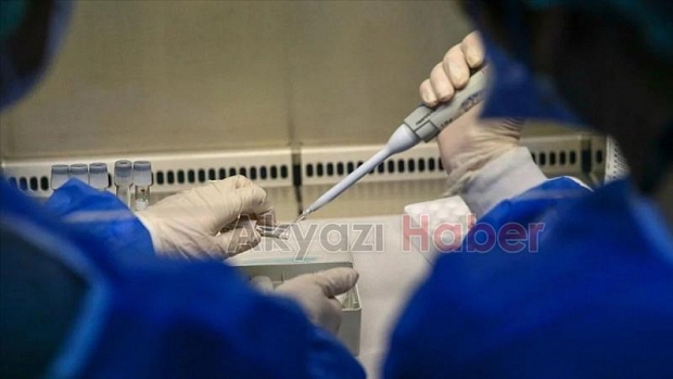 Maymun çiçeği virüsüne karşı dünya çapında acil durum ilan edildi