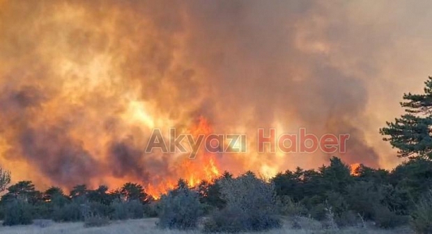 Orman yangını büyüdü, 2 köy boşaltıldı