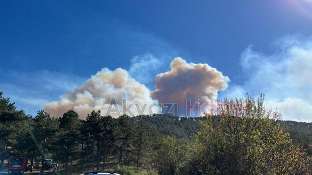 Göynük'teki orman yangınından fotoğraflar