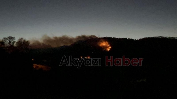 Göynük'teki orman yangınından fotoğraflar