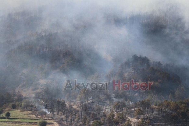 Göynük'teki orman yangınından fotoğraflar