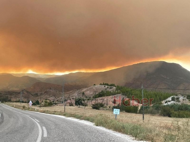 Göynük'teki orman yangınından fotoğraflar