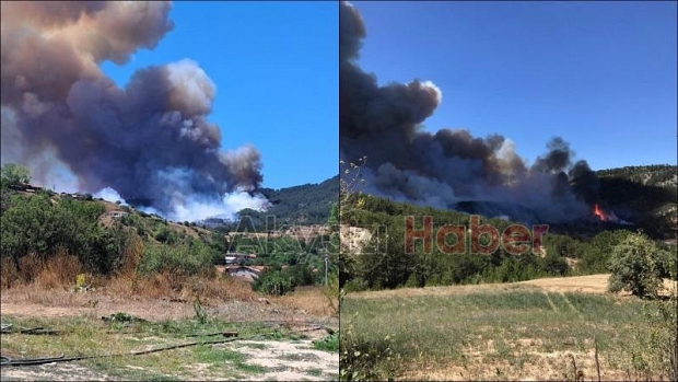 Göynük'teki orman yangınından fotoğraflar