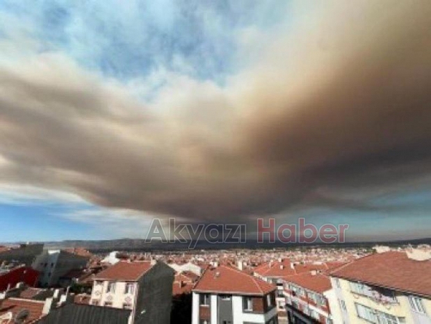 Göynük'teki orman yangınından fotoğraflar