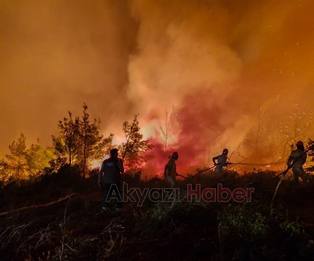 Göynük'teki orman yangınından fotoğraflar