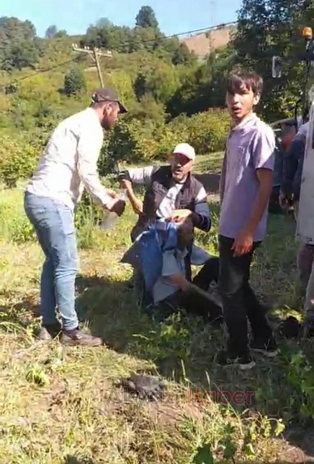 Dokurcun yolunda kaza: 2 yaralı