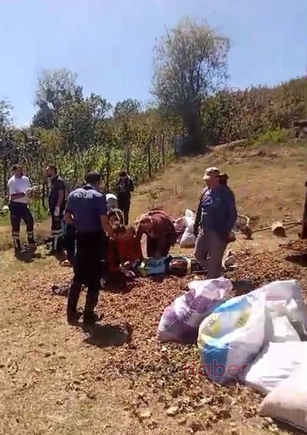 Römork devrildi; 13 fındık işçisi yaralandı