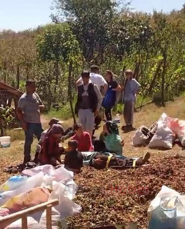 Römork devrildi; 13 fındık işçisi yaralandı