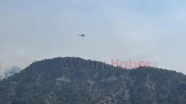 Göynük'teki orman yangını kontrol altına alınamadı