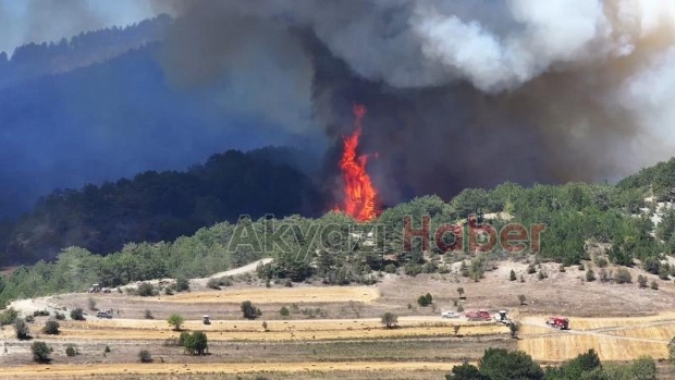Göynük'teki orman yangını kontrol altına alınamadı