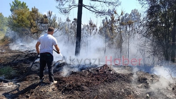 20 dönümlük orman yandı