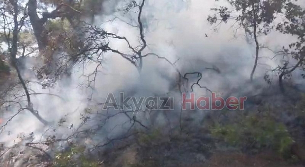 SAKTİM'den İzmir'de Orman yangınına müdahale