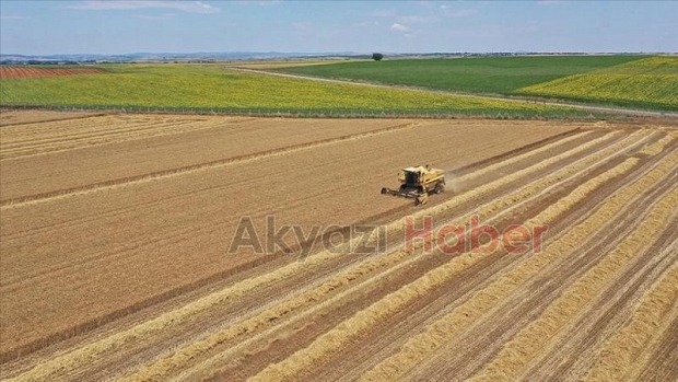 İki yıl üst üste işlenmeyen tarım arazileri kiraya verilecek