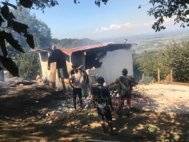 Altındere’de fındıklık içersindeki bağ evi alevlere teslim oldu