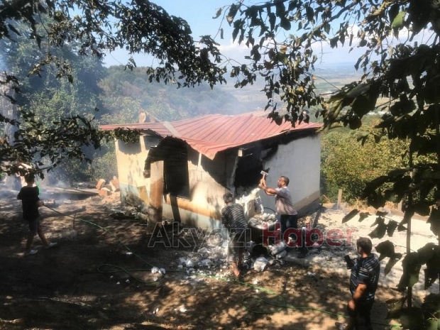 Altındere’de fındıklık içersindeki bağ evi alevlere teslim oldu