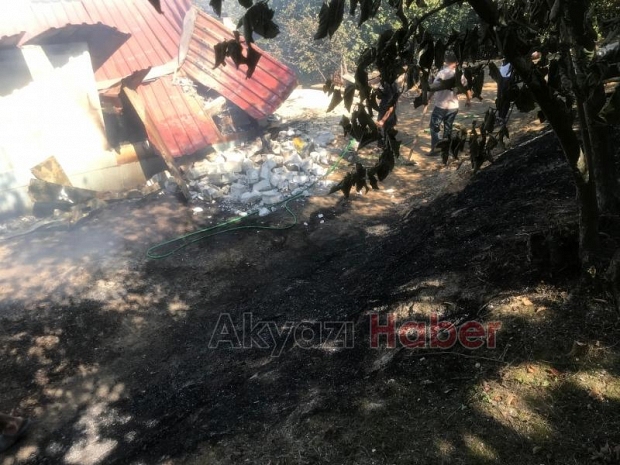 Altındere’de fındıklık içersindeki bağ evi alevlere teslim oldu