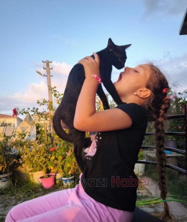 Açlıktan ölmek üzere olan kediyi kurtardı