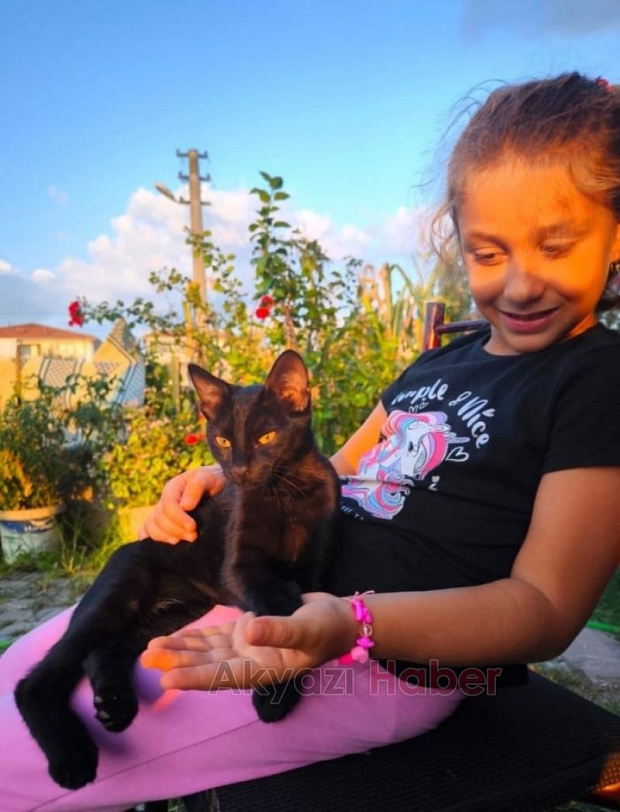 Açlıktan ölmek üzere olan kediyi kurtardı