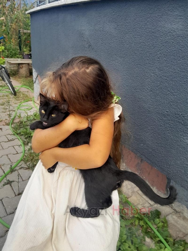 Açlıktan ölmek üzere olan kediyi kurtardı