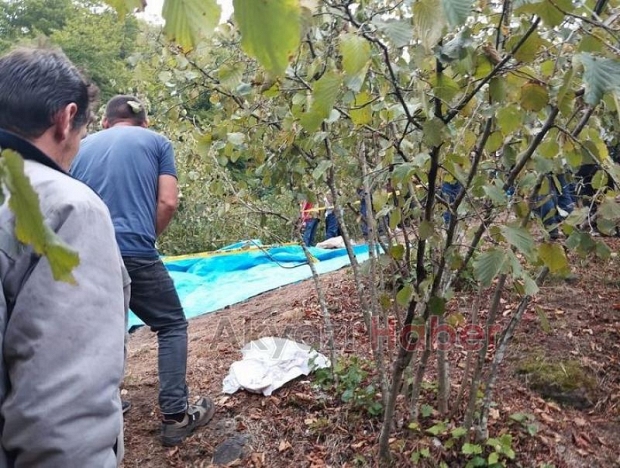 Tartıştığı babasını vurmuştu tutuklandı