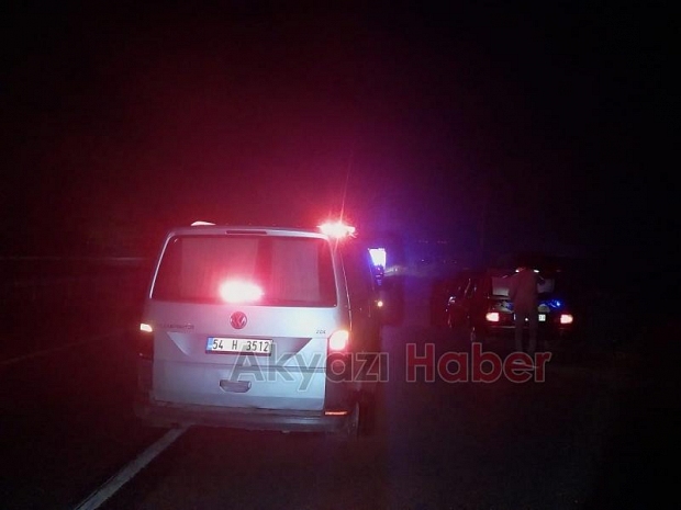 Tarlaya uçan otomobildeki 2 kişi yaralandı
