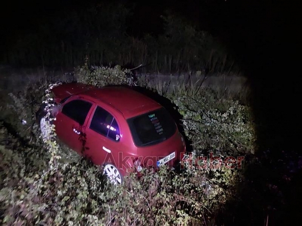 Tarlaya uçan otomobildeki 2 kişi yaralandı