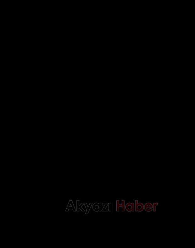 Türkiye şehitlerini ebediyete uğurladı
