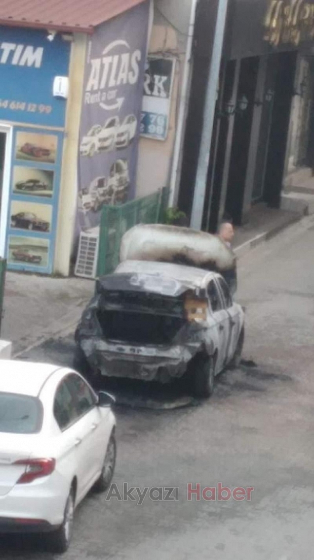 Otomobil alevlere teslim oldu