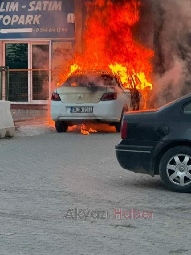 Otomobil alevlere teslim oldu