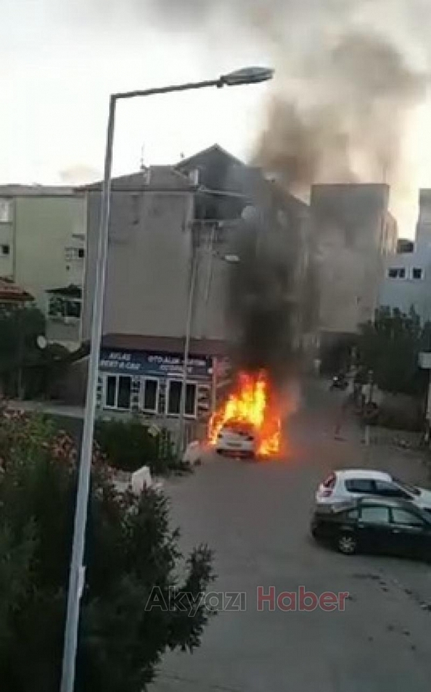 Otomobil alevlere teslim oldu