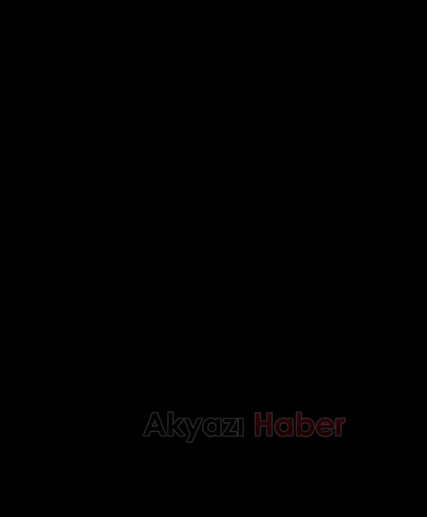 Şehidimizin cenazesi Sakarya'ya getirildi