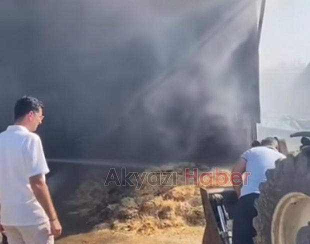 Ahır ve samanlık yandı