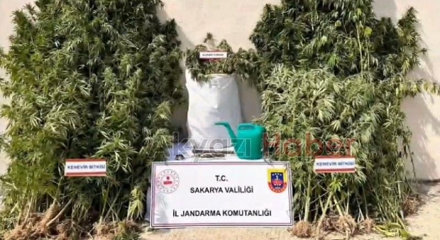 Sakarya'da uyuşturucu ve kaçakçılık operasyonları